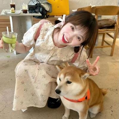 金色苏西